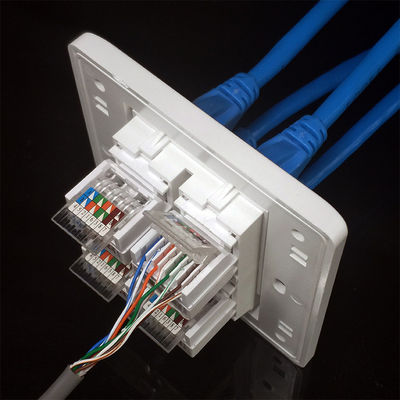 Schnelle Klammer Doppel-Port RJ11 RJ45 Telefonnetz-modulare Jack Cats 5E für Wandsteckdose-Ausgang