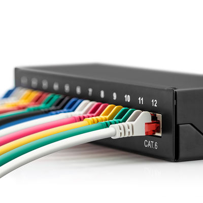 12 Port-Pacthpanel UTP Kabel-Verteiler-Verteilerdose-Teiler des Wand-Berg-RJ45 der Schalttafel-Cat6